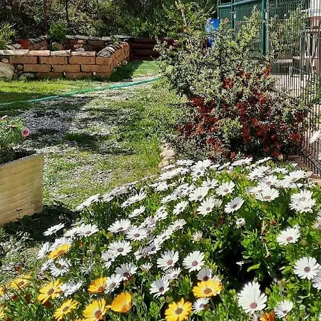 A Casa Di Emma Apartman Nereto