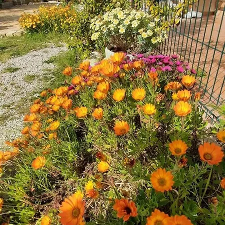 A Casa Di Emma Apartmán Nereto