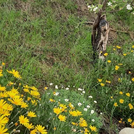A Casa Di Emma Nereto