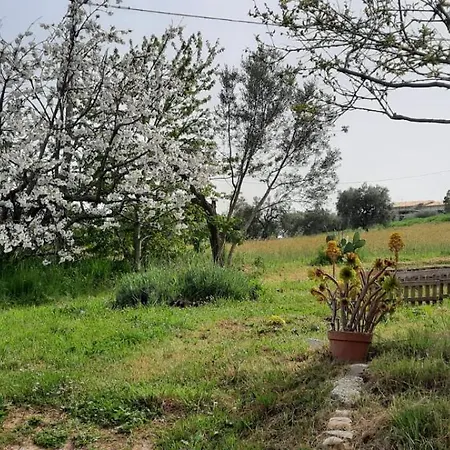 A Casa Di Emma Apartmán *