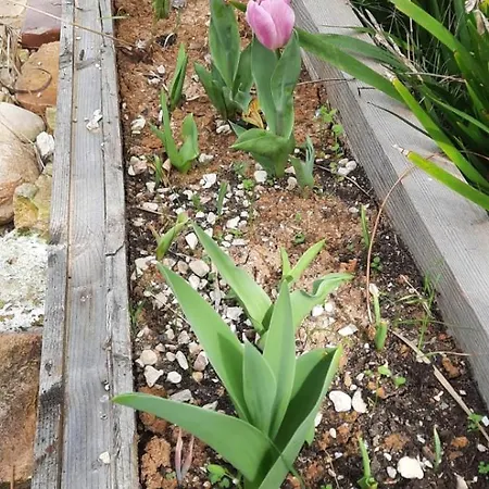 A Casa Di Emma * Nereto