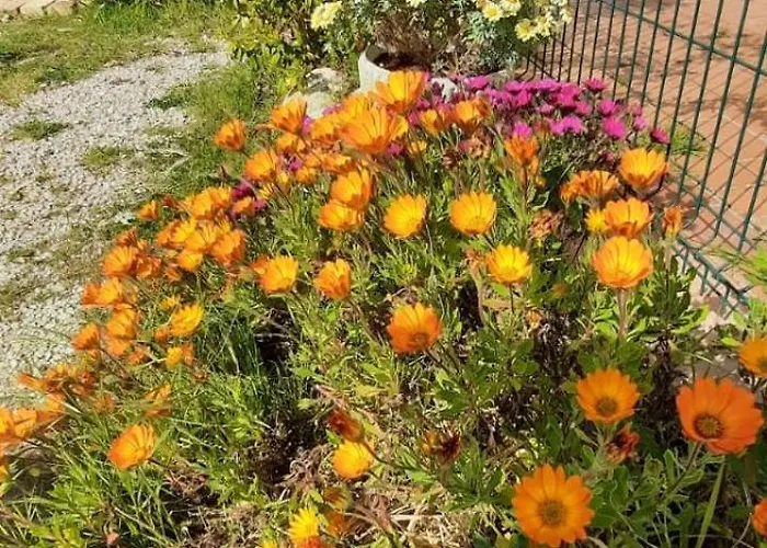 A Casa Di Emma Apartmán Nereto