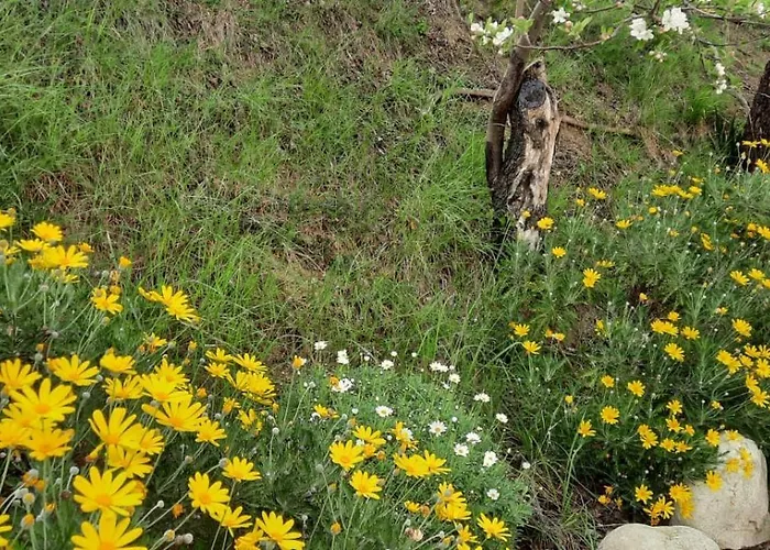 A Casa Di Emma Nereto