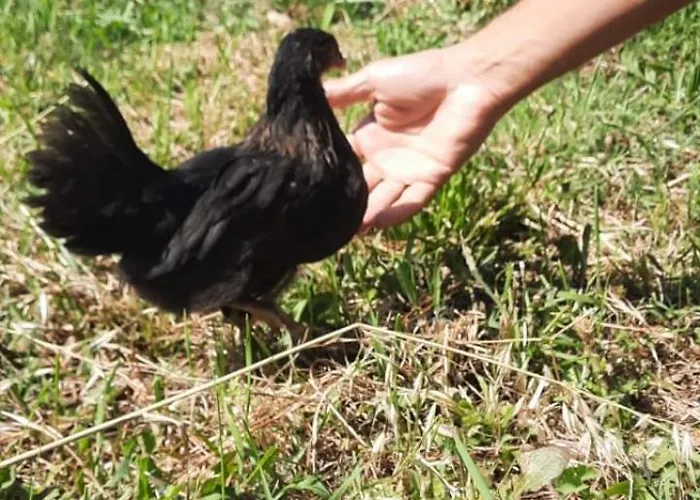 A Casa Di Emma Nereto