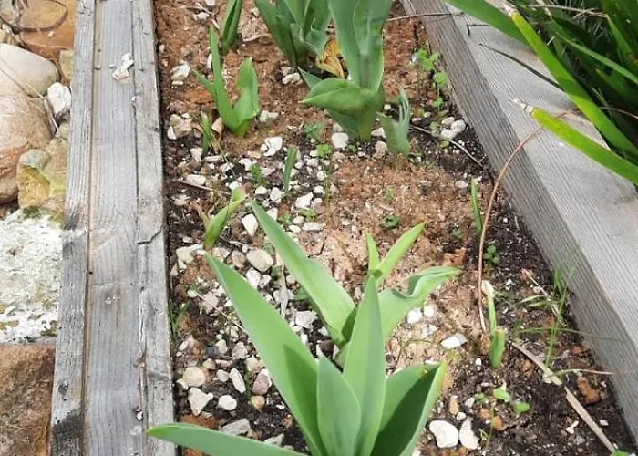 A Casa Di Emma * Nereto