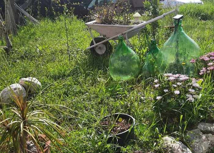 Appartamento A Casa Di Emma