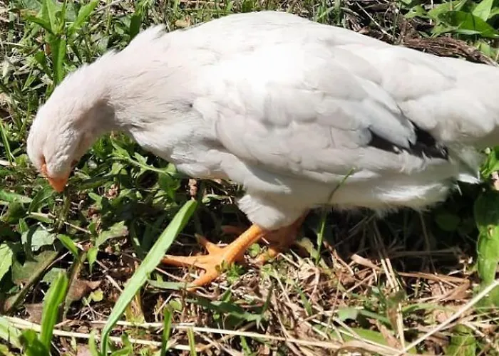 A Casa Di Emma Appartamento